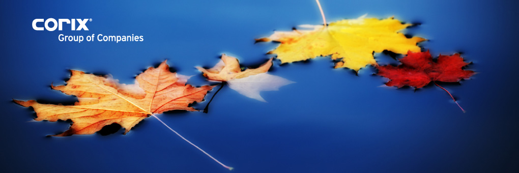 blog-banner-fall-leaves